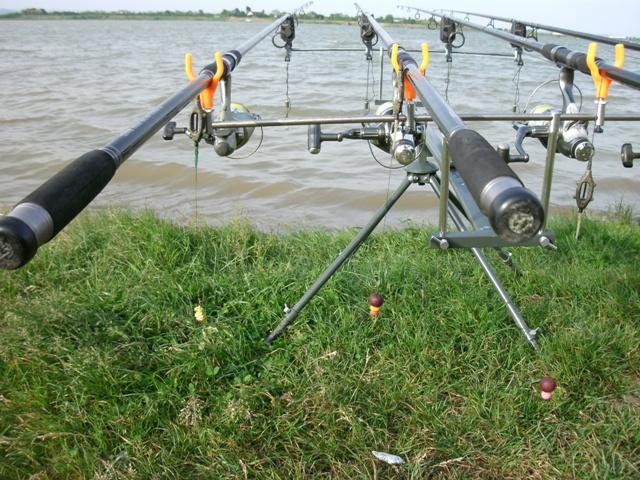 Lac 2 Bunget - Bratesti - gedc0341.JPG